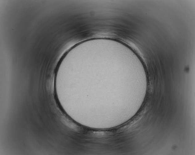 X0000100351227200807031806