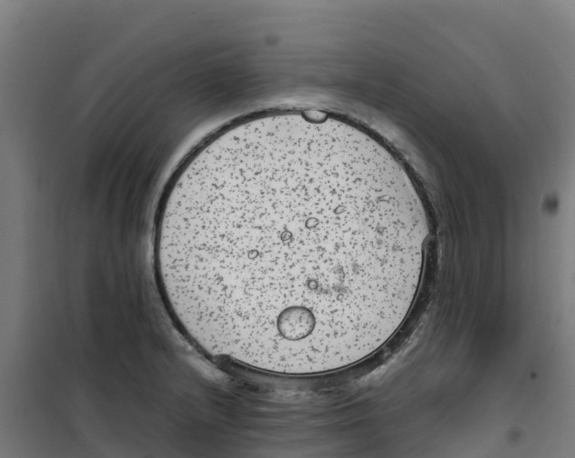 X0000100351232200807031806