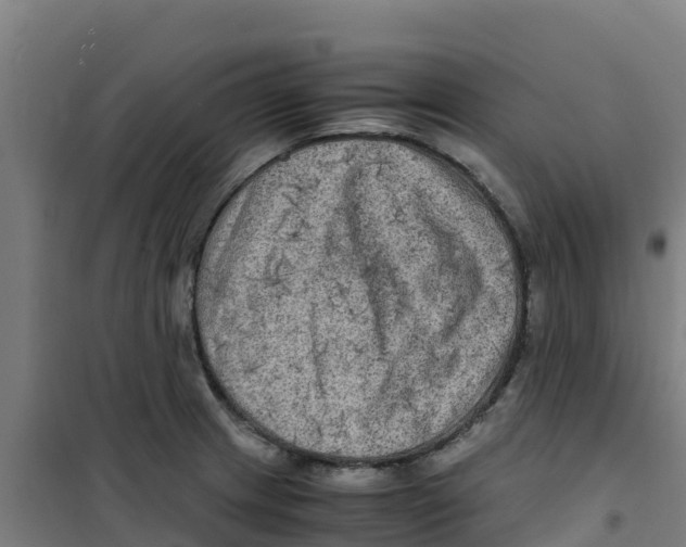 X0000100351233200807031806