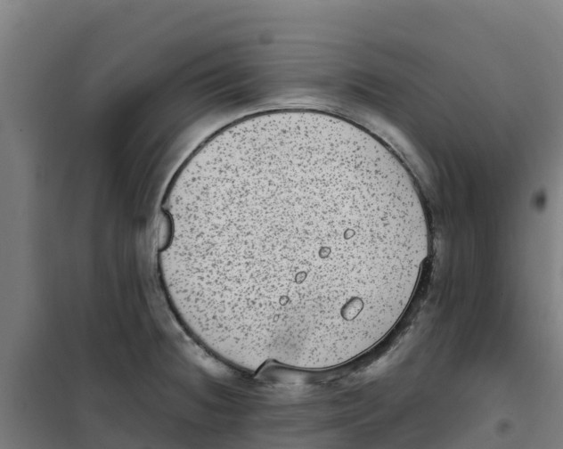 X0000100351236200807031806