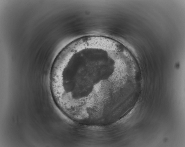 X0000100351239200807031806