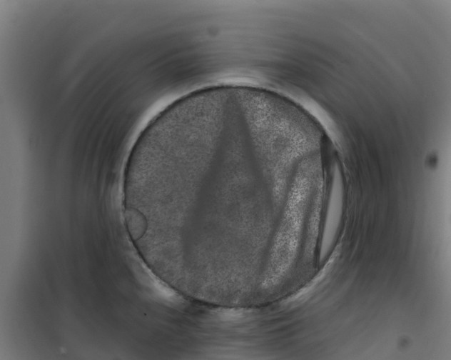 X0000100351240200807031806