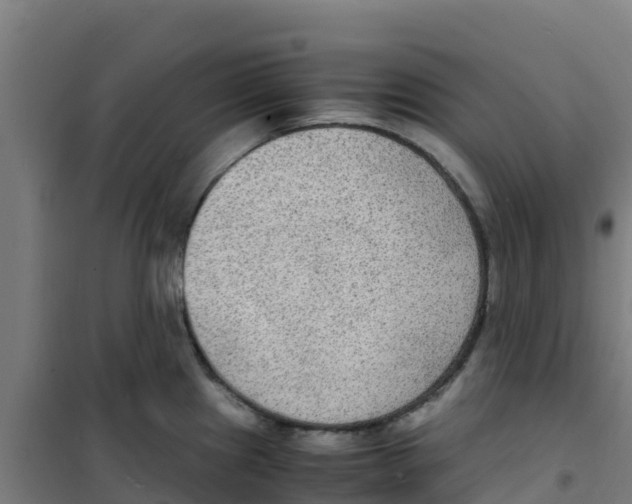 X0000100351241200807031806