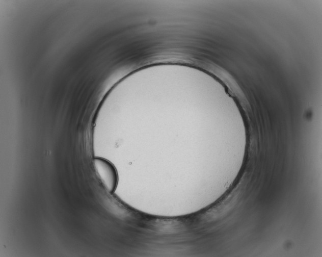 X0000100351242200807031806