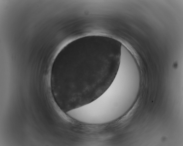 X0000100351246200807031806