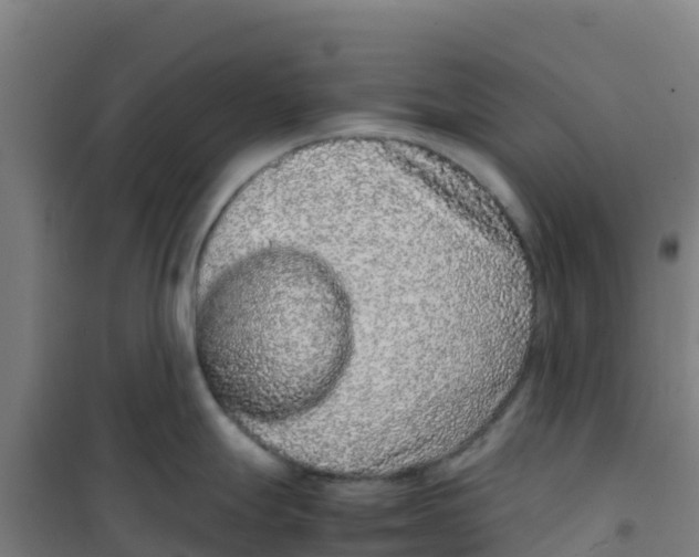 X0000100351247200807031806