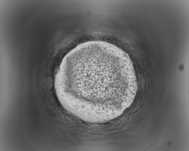 X0000100351253200807031805