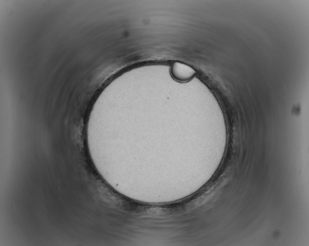 X0000100351265200807031805