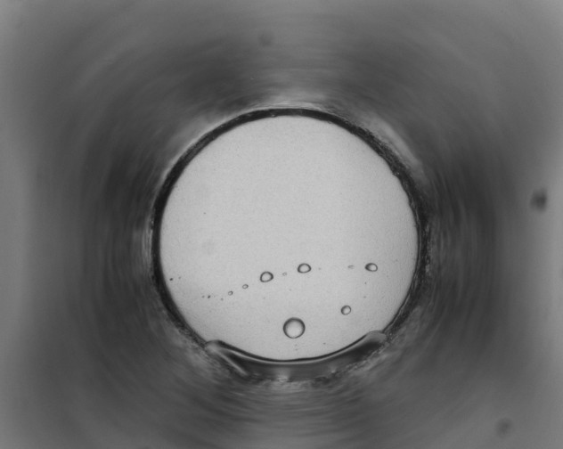 X0000100351268200807031805