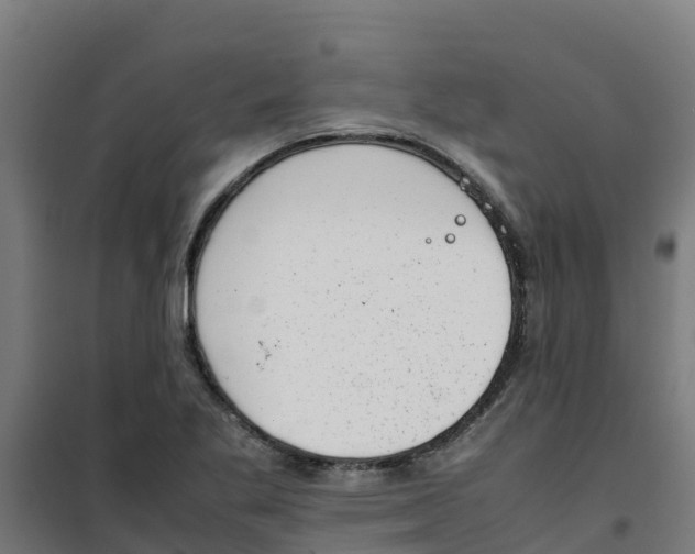 X0000100351269200807031805