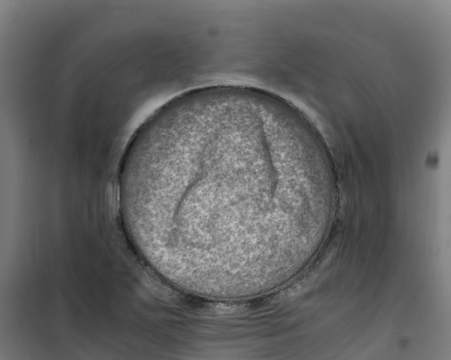 X0000100351271200807031805