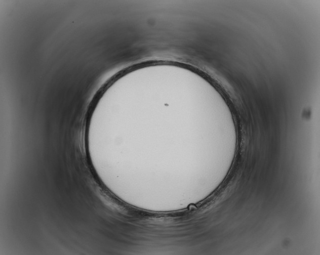 X0000100351272200807031805