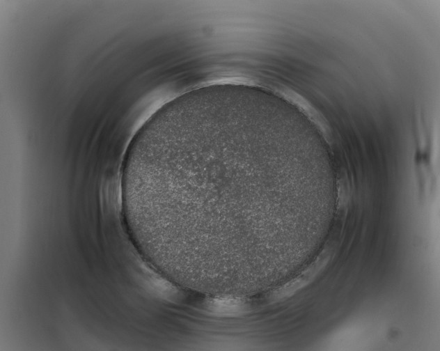 X0000100351274200807031805