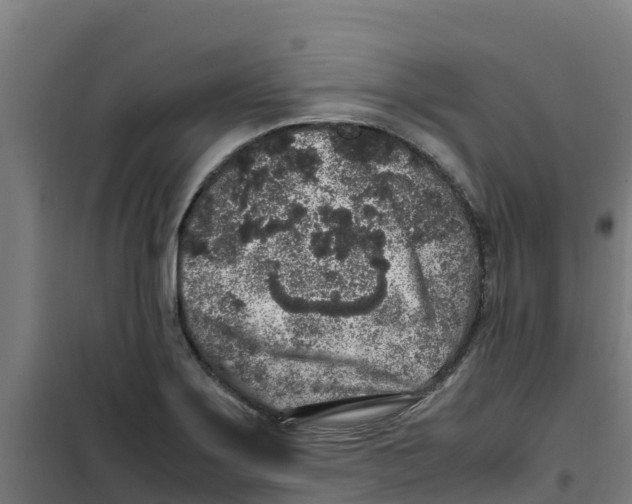 X0000100351275200807031805