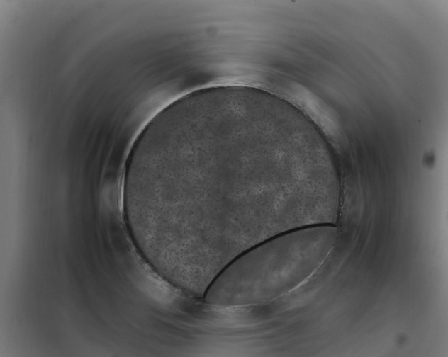 X0000100351276200807031805