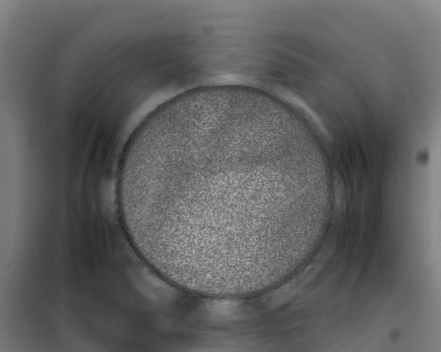 X0000100351278200807031805