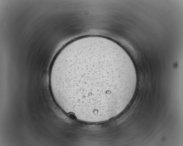 X0000100351280200807031805