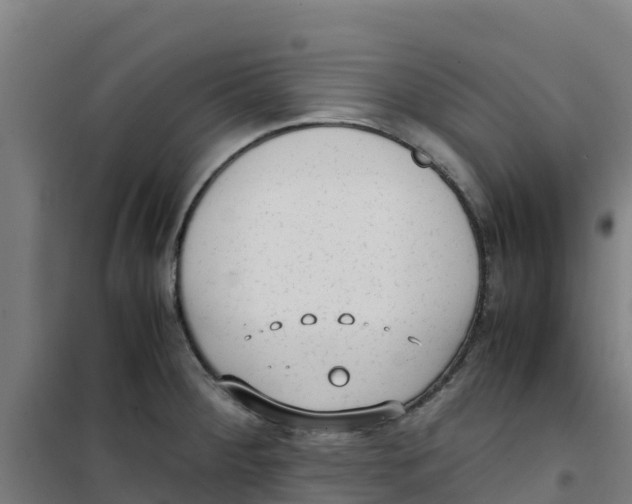 X0000100351284200807031805