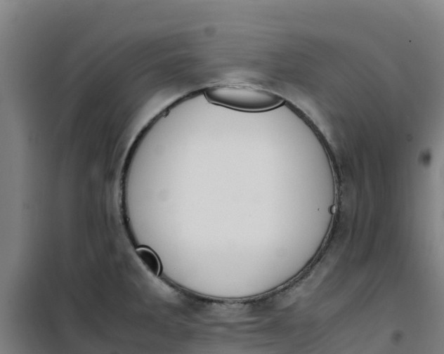 X0000100351285200807031805