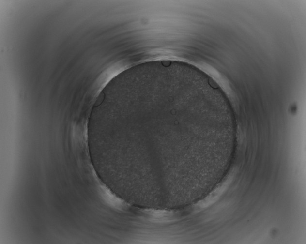 X0000100351289200807031805