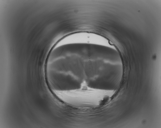 X0000100351291200807031805