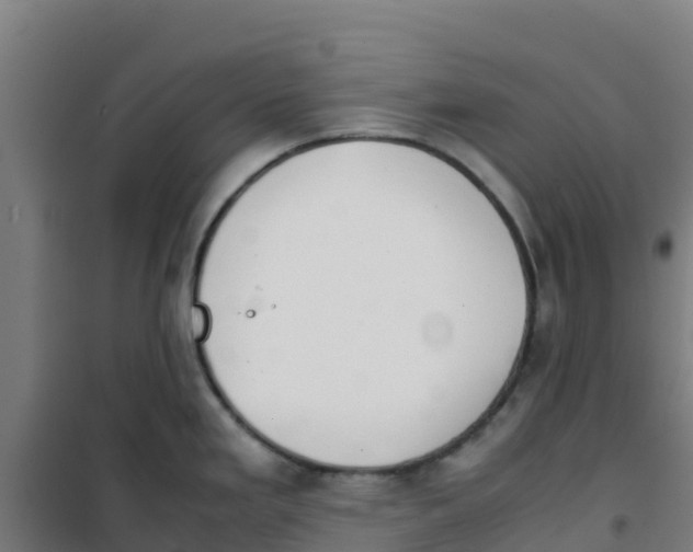 X0000100351293200807031805