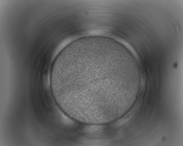 X0000100351294200807031805