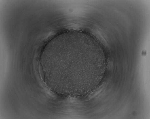 X0000100351297200807031804