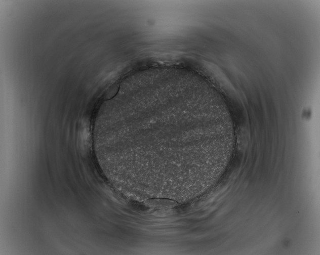 X0000100351298200807031804