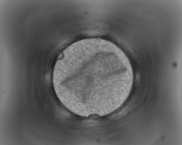 X0000100351300200807031804