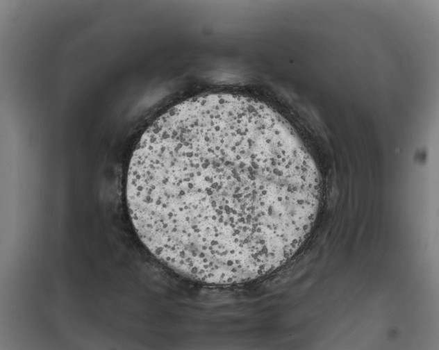 X0000100351301200807031804