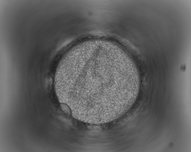 X0000100351302200807031804