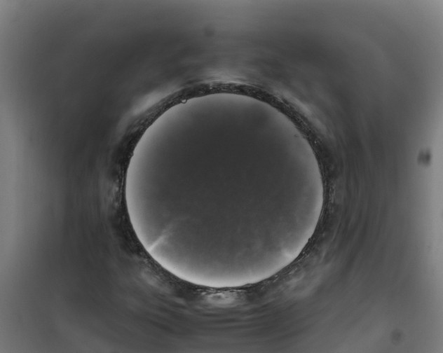 X0000100351303200807031804