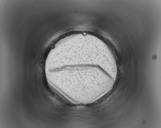 X0000100351304200807031804