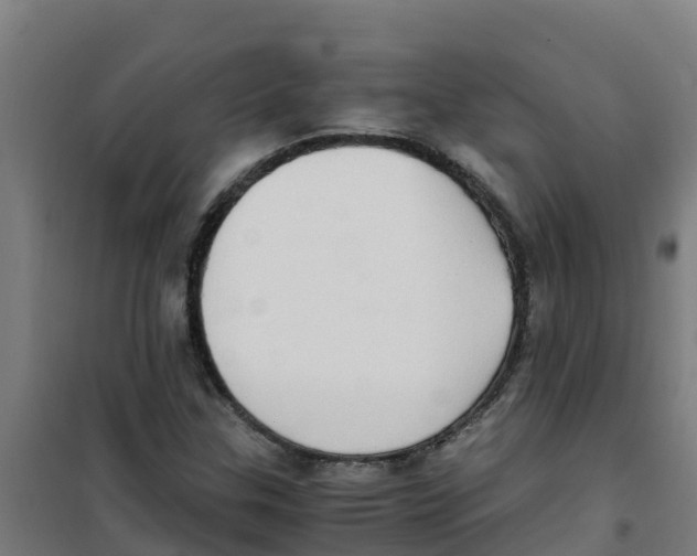 X0000100351307200807031804