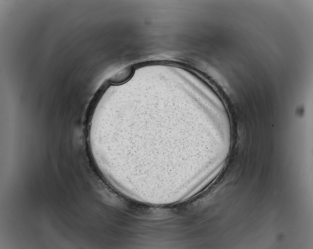 X0000100351308200807031804