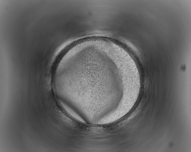 X0000100351310200807031804