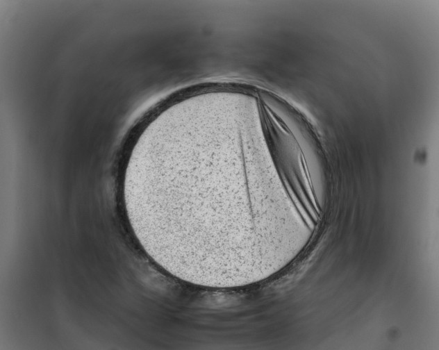 X0000100351311200807031804