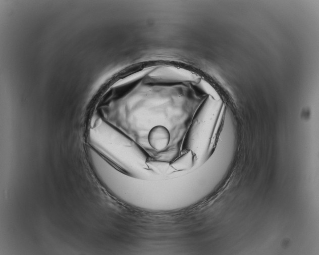 X0000100351312200807031804