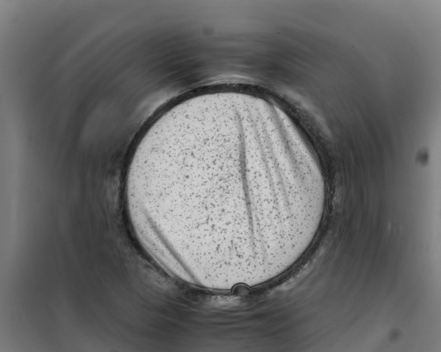 X0000100351313200807031804