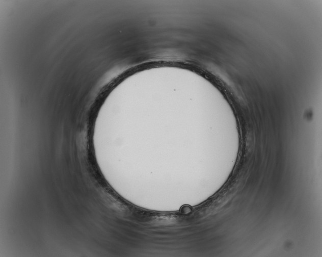 X0000100351315200807031804