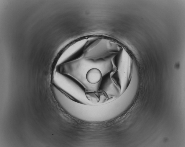 X0000100351316200807031804