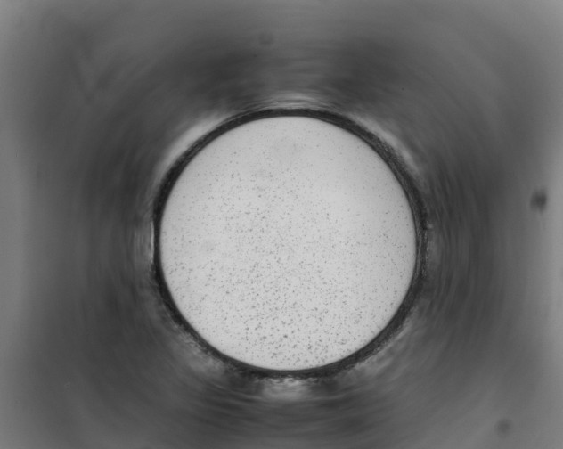 X0000100351317200807031804