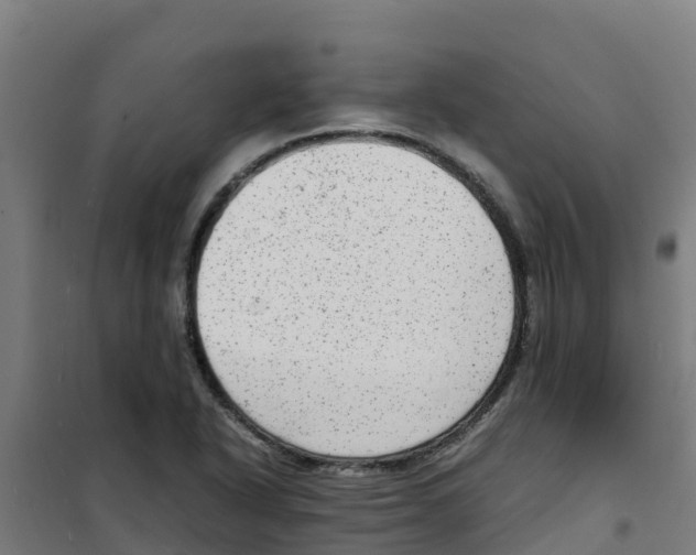 X0000100351318200807031804