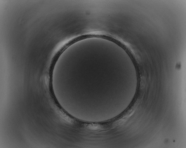 X0000100351319200807031804