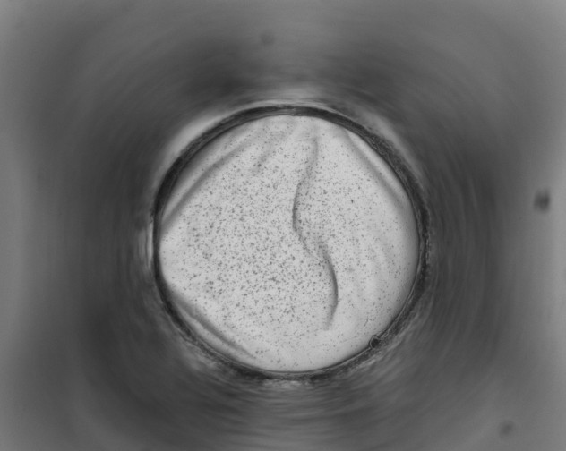 X0000100351320200807031804