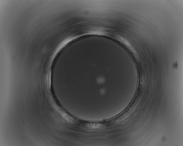 X0000100351323200807031804