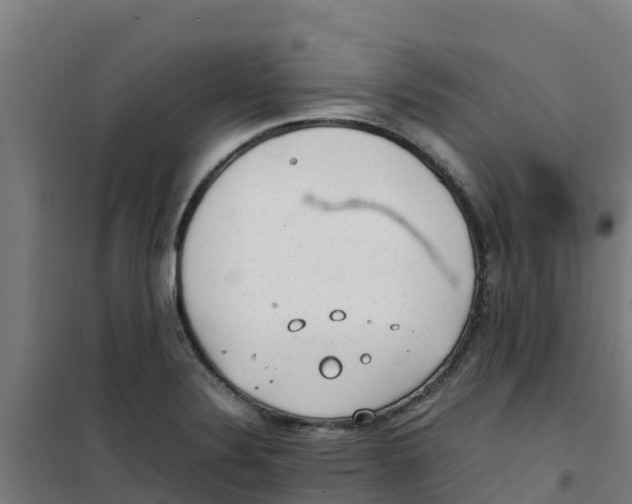 X0000100351324200807031804