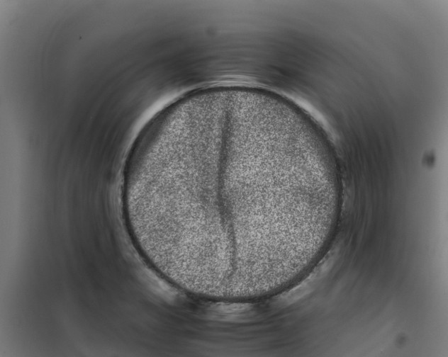 X0000100351325200807031804