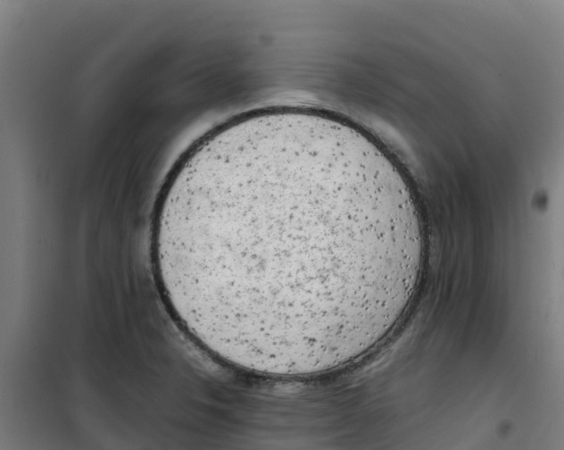 X0000100351326200807031804